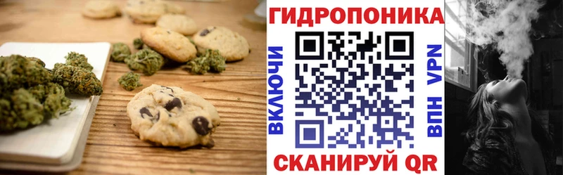 KRAKEN как зайти  закладки  Циолковский  Canna-Cookies марихуана 