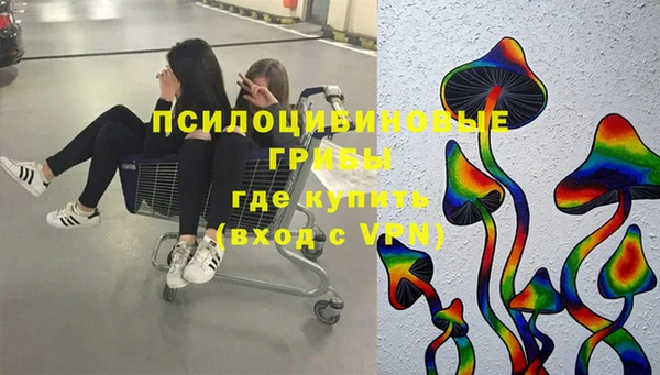 мдпв Абаза
