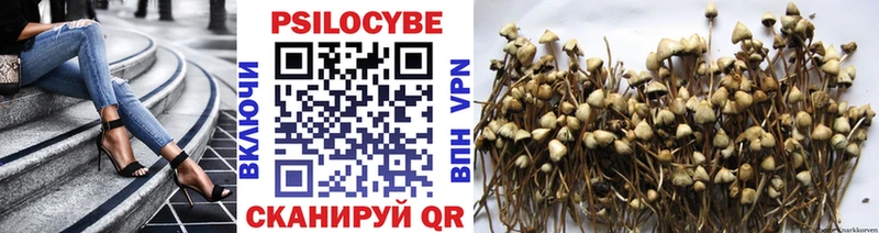 Псилоцибиновые грибы прущие грибы  Циолковский 